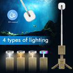 Foldable Tripod Camping Light with Bluetooth Speaker, RGB Rechargeable Lantern for Outdoor Camping & Parties